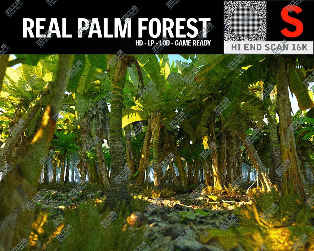 images/goods_img/202105071/Real Palm Forest HD 3D model/4.jpg